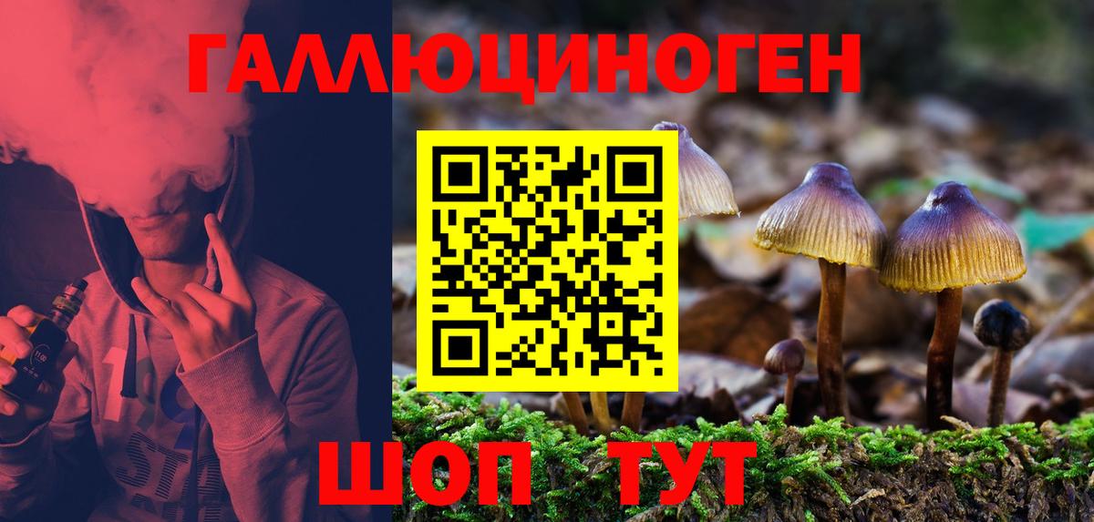 Псилоцибиновые грибы Psilocybe  Псилоцибиновые грибы Cubensis  Мичуринск  Вход с VPN 