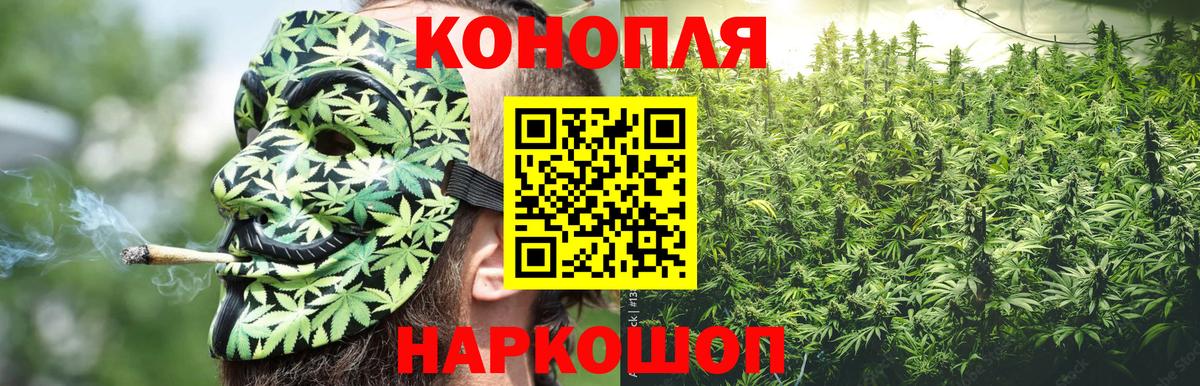 Шишки марихуана марихуана Мичуринск